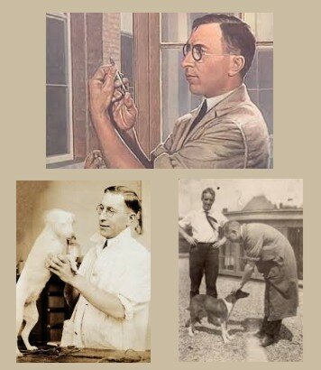 Banting y Best (1922 d,C. )