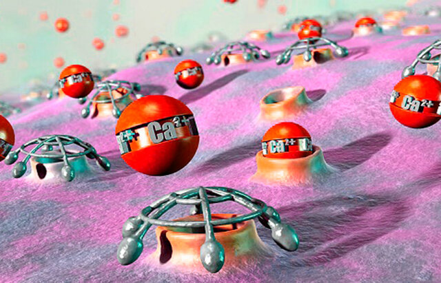 Antagonistas (1980 d.C.).