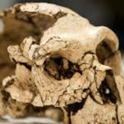 Timeline: CRONOLOGIA PREHISTÒRIA