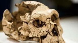 Timeline: CRONOLOGIA PREHISTÒRIA