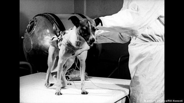 Primeiro ser vivo no espaço