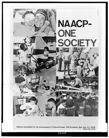 National Association for the Advancement of Colored People (NAACP)