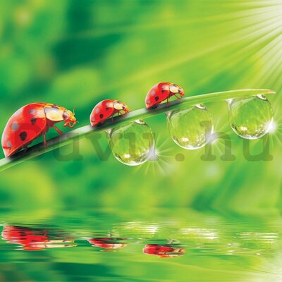 Timeline: Ünnepeink