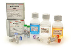 Sorgiment dels antibiòtics i la enginyeria genètica