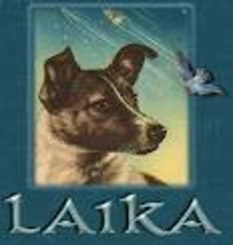 Laika Becomes the First Living Animal to Enter Orbit (Seventeen yr. old)