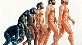 Timeline: ETAPA DOMÉSTICA DEL CUIDADO