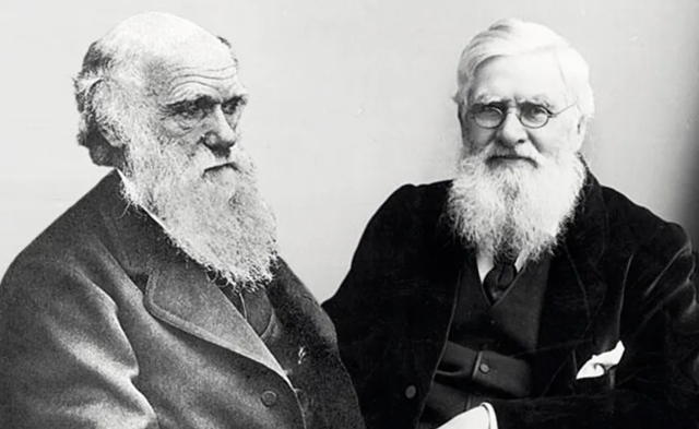 1809 - 1882 Teoría de Darwin-Wallace