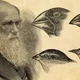 Charles darwin overview life focus evolution work