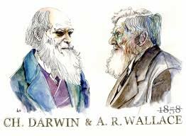 teoría de darwin-wallace