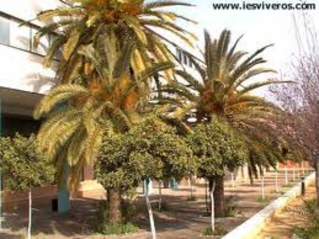 Grado medio frio-calor IES los Viveros