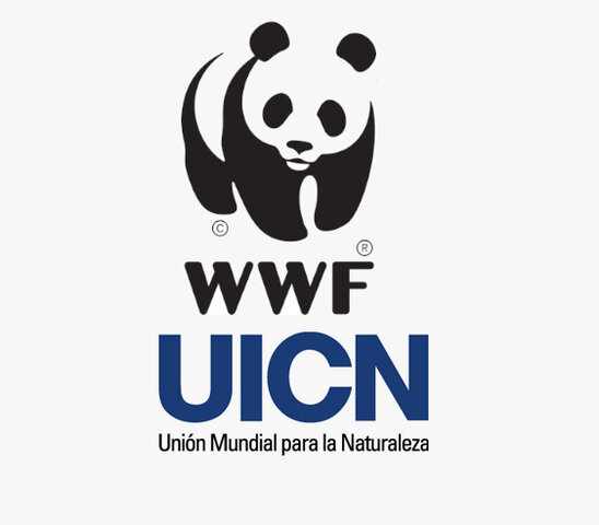 Creación de la Estrategia Mundial para la Conservación