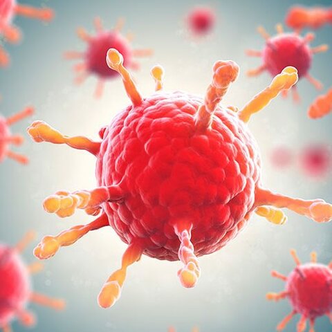 Propagation subite de nouvelles maladies sexuellement transmissibles