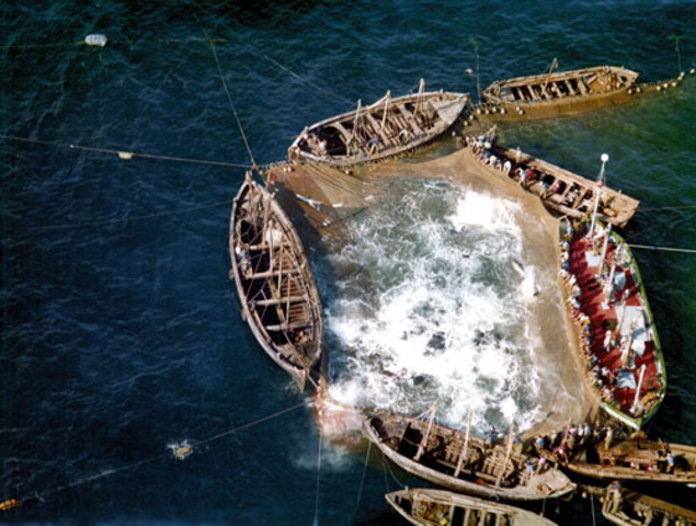 1º Levantada de atunes a la que asistí