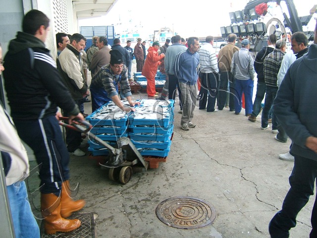 1ª Venta de pescado