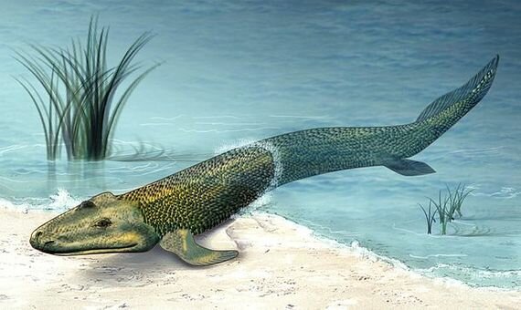 Segona extinció massiva