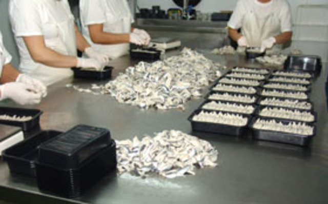 1ª Participación de elaboración de un producto