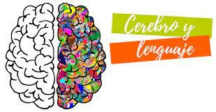 Perspectiva neuropsicológica del  lenguaje