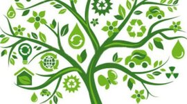 Timeline: Evolución del pensamiento ambiental y de la sostenibilidad