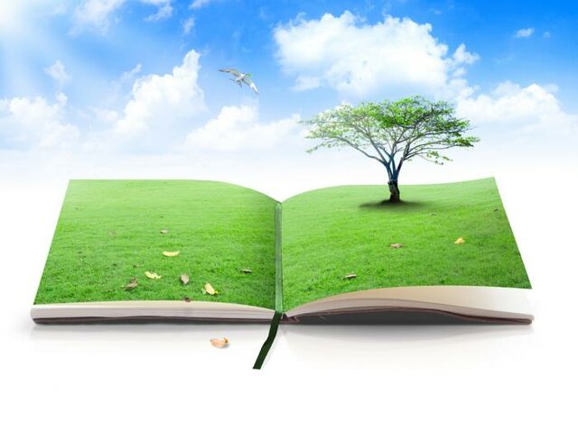 La Carta de Belgrado.