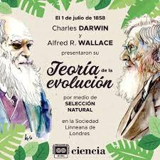 Postulados de Darwin-Wallace