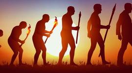 Timeline: AI1. Posturas de la evolución