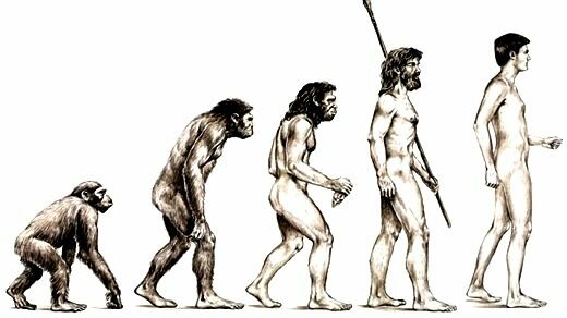 L'aparició de l'ésser humà