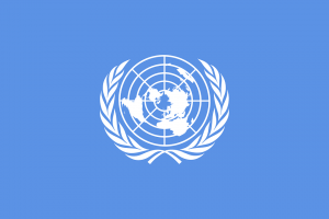 As Nações Unidas(Direitos Humanos)