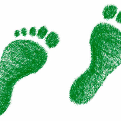 Timeline: Acontecimientos históricos sobre la sostenibilidad ambiental