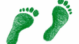 Timeline: Acontecimientos históricos sobre la sostenibilidad ambiental