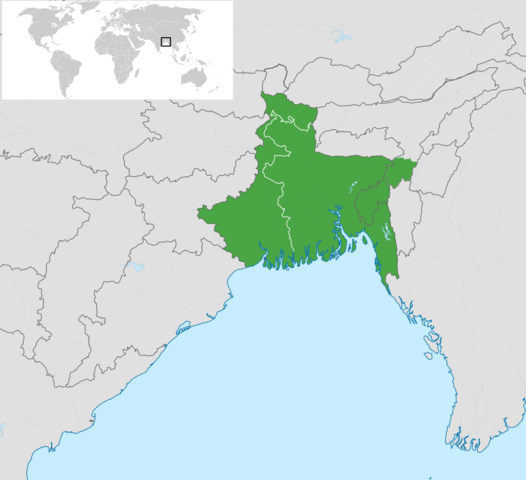 Partición de Bengala (Particion de India)