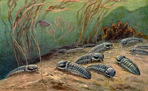La primera extinció massiva