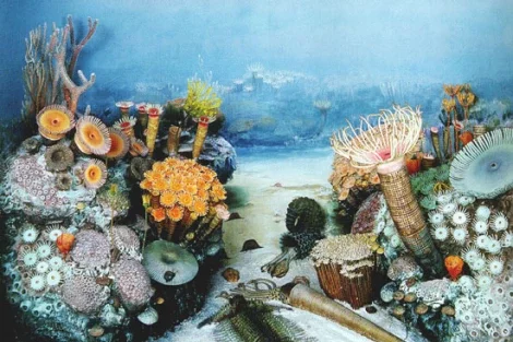 La segona extinció massiva