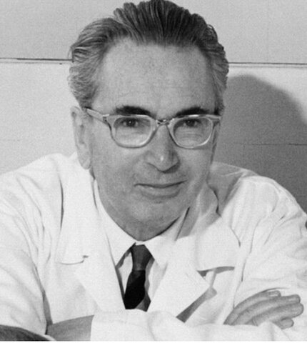 Viktor Frankl (1905 al 1997)