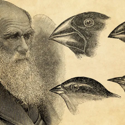 Timeline: Charles Darwin: February 12, 1809-April 19, 1882