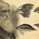 Charles darwin with finches