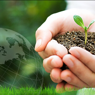 Timeline: La conciencia Ambiental y de la sostenibilidad en Costa Rica