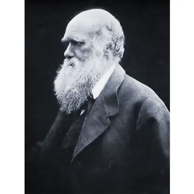 Timeline: Charles Darwin