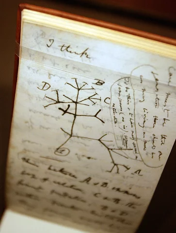 Charles Darwin: Evolution of the Origin of Species