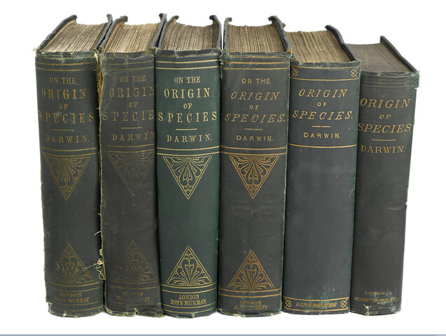 On the Publication of Charles Darwin’s On the Origin of Species, 1859″