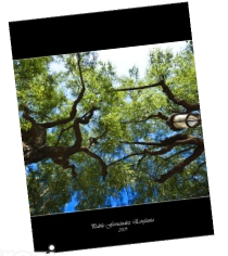 Teoria de Sistemas (XX)