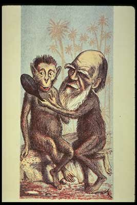 And... ANOTHER HIT!... but not really