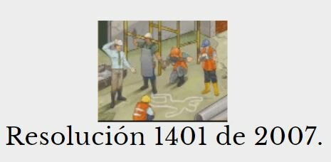 Resolución 1401 de 2007