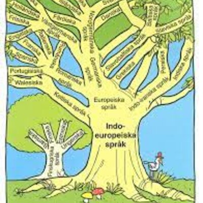 Timeline: Språkhistoria