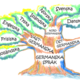 400px simplified language tree in swedish