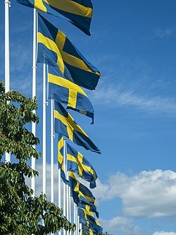 Svenskan, ett skyddat språk.