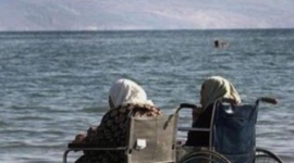 Timeline: fememòria