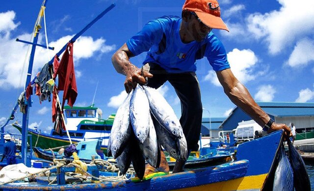 Aprobación y oficialización del Plan Nacional de Desarrollo Pesquero y Acuícola