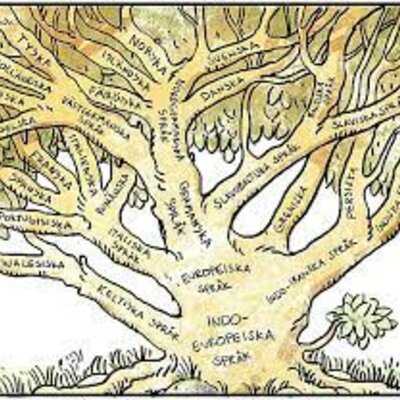 Timeline: Språkhistoria
