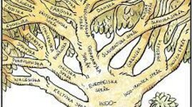 Timeline: Språkhistoria