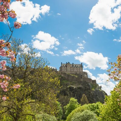 Timeline: CC Plus WCH Spring Semester Timeline